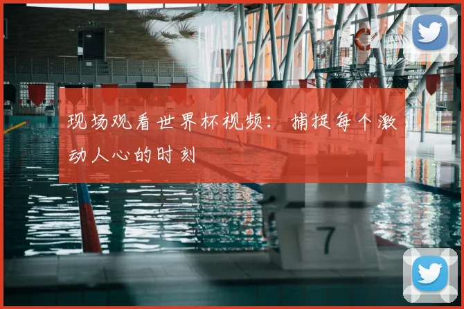 现场观看世界杯视频：捕捉每个激动人心的时刻