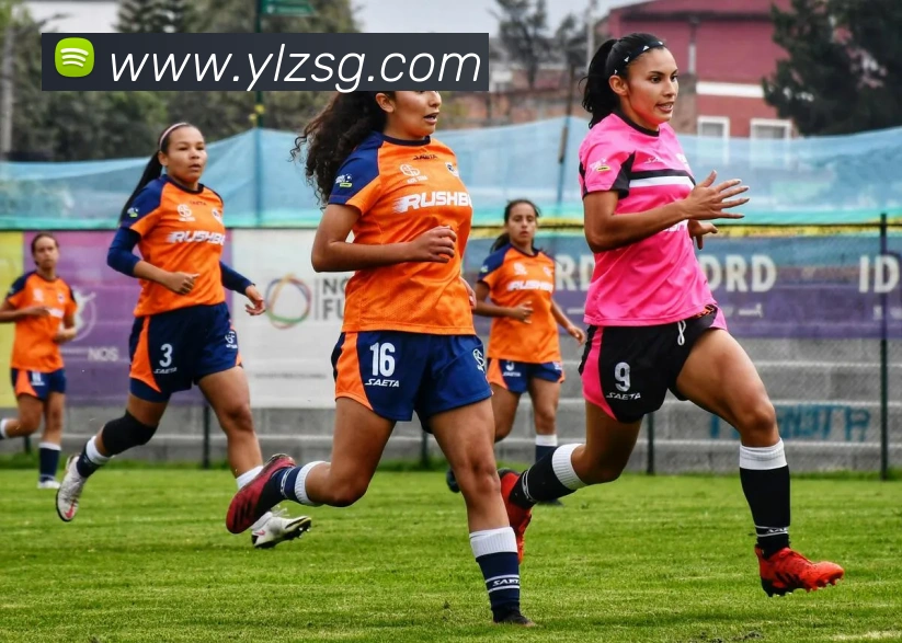 2010年世界杯巴西vs荷兰经典之战：复盘梅洛红牌与战术转折点